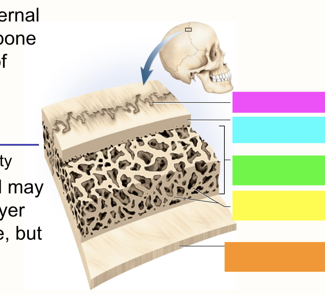 <p>what is highlighted orange?</p>