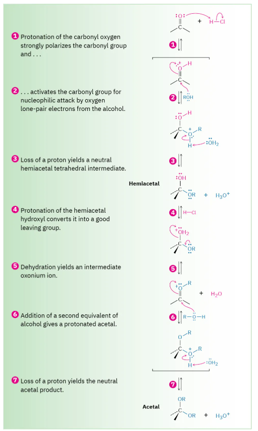 <p>Need 2 equivalents of alcohol and a catalytic acid.</p>