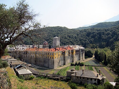 term image