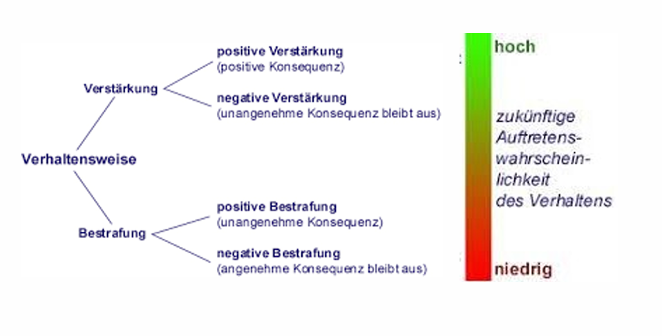 <p>Preiserfahrungen beim Einkauf können als Belohnungen bzw. Bestrafungen für die Wahl des jeweiligen Anbieters interpretiert werden und so üben die tatsächlichen Preiserfahrungen grossen Einfluss auf das Preisimage aus.</p>