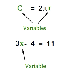 <p><strong>Variable </strong><em>(noun)</em></p>