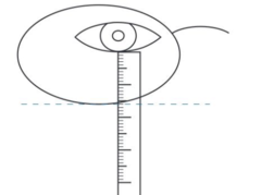 <p>method of measuring bifocal height where the subject fixates on the bridge of the dispenser and the PD ruler is lined up to the lower limbus and measured to the lowest part of the eyewire</p>