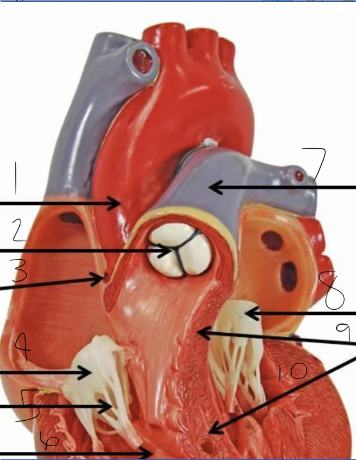<p>9 + 10 </p>