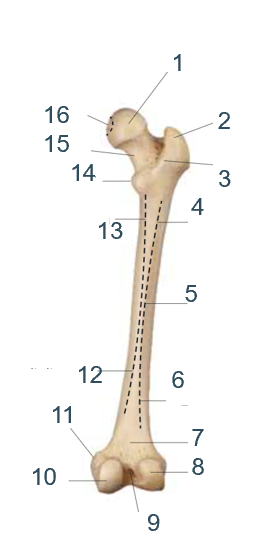 <p>13?</p>