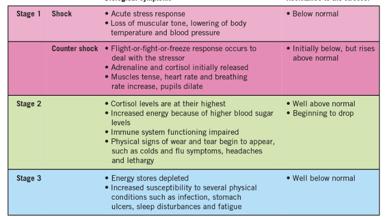 <p>3rd stage of GAS</p><ul><li><p>depletion of energy levels and bodily resources, result in inability to cope with stressor.</p></li></ul><p></p>