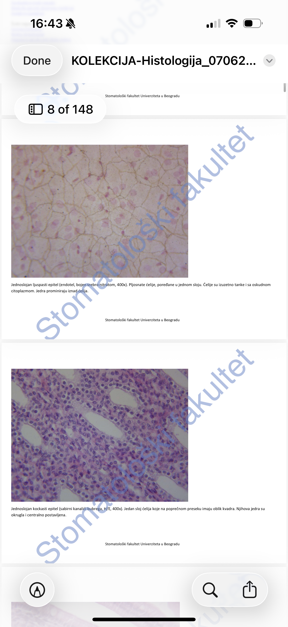 <p>A single layer of thin, flat cells with scarce cytoplasm and prominent nuclei; examples include the endothelium when stained with silver nitrate at $$400\times$$ magnification.</p>