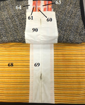<p>Label the analogous muscle or tendon for these fiber angles</p>