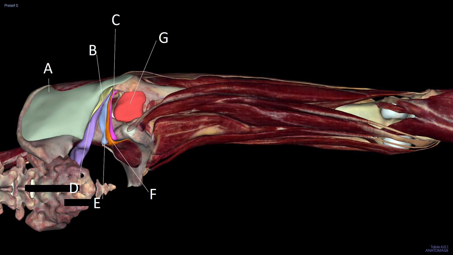 <p>E</p>
