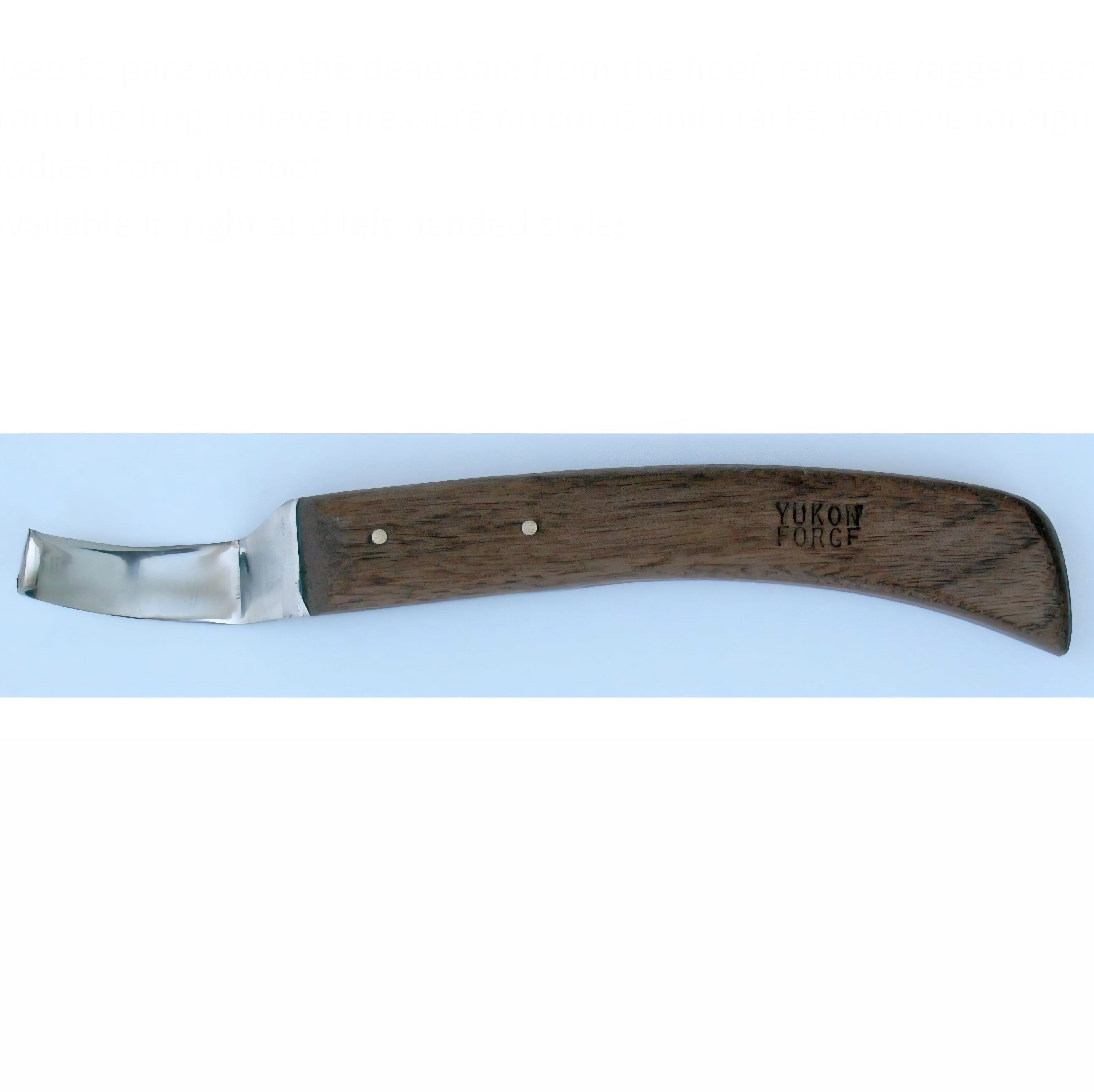 <p>hoof knife (2/2)</p>