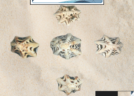 knowt flashcard image