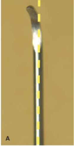 <p>Simple shank:</p><p>also called straight shank</p>