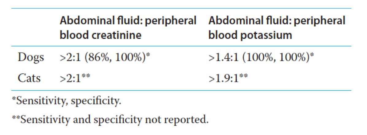 <p></p><ul><li><p>Non-specific Clinical signs</p><ul><li><p>Bladder might or <strong><em>might</em></strong> <strong><em>NOT</em></strong> be palpable</p></li><li><p>+/- Urination</p></li><li><p>+/- haematuria before uroabdomen</p></li></ul></li><li><p>Biochemistry</p><ul><li><p>Azotaemia</p></li><li><p>Hyperkalaemia&nbsp;</p></li></ul></li><li><p>Imaging - not the best either </p><ul><li><p>APOCUS</p></li><li><p>Contrast radiography</p></li></ul></li></ul><p></p><p>Most surefire way is via fluid analysis</p><ul><li><p>Test for creatinine and potassium in the free fluid</p><ul><li><p>Still should ALWAYS compare the ratio between the creat in the fluid and the creat in blood </p></li></ul></li><li><p>Also perform a smear of the fluid to rule out any bacteria</p></li></ul><p></p>