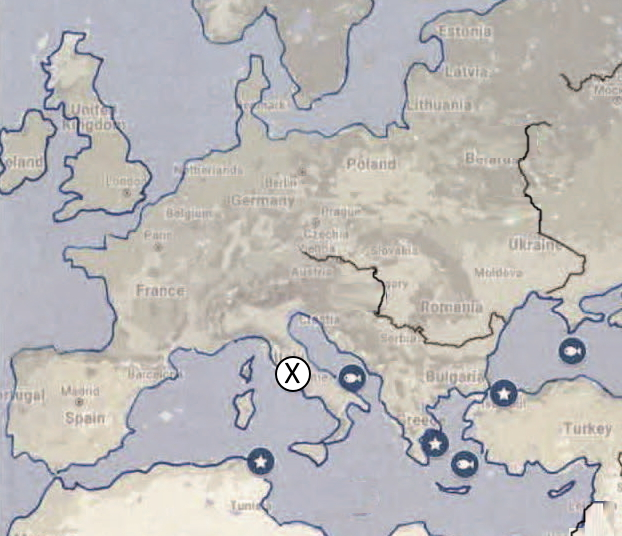 <p>Identify the city marked with the letter X:<br></p>