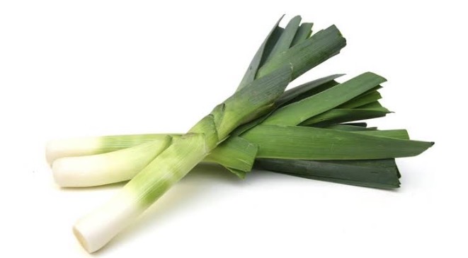 <p>Leek</p>