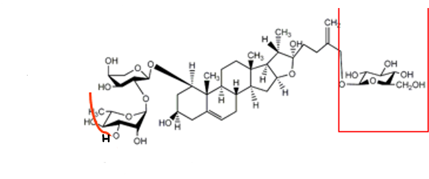 <p>ruscosido Sem a glucose na cadeia glicídica do OH em C1 (furostano) </p>
