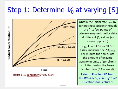 <p>(the goal)</p><ul><li><p>determine V0 (initial rate) with a known [E] &amp; [S], to figure out Vmax (max catalysis rate) &amp; Km ([S] at half max catalysis rate)</p></li></ul><p>(step 1)</p><ul><li><p>determing V0 at varying [S]</p></li><li><p>mix the S at varying concs, while keeping [E] constant (we are determining a propety of the enzyme, keep it consistent), while measuring [P]</p></li><li><p>eg use the Beer-Lambert law to use Absorbance &amp; Molar Absorptivity to find [P]</p></li><li><p>plot this [P] as a function of time</p></li><li><p>measure the initial run, the linear increase in rate before it plateaus (the high [S], the rate goes up quicker in an observable way), which = V0</p></li><li><p>express this in units of [P] / unit time (eg mmol / minute)</p></li></ul><p>(step 2)</p><ul><li><p>plot V0 as a function of [S], at the varying levels (collection of experiments - collect lots of data to reduce error, to make the modelled parameters more accurate)</p></li><li><p>this nicely fits the MM euqation</p></li><li><p>Vmax will be represented at the Asymptope (the catalysis rate plateau)</p></li><li><p>1/2Vmax will be half this</p></li><li><p>then Km will be the [S] at ½Vmax</p></li></ul><p></p>