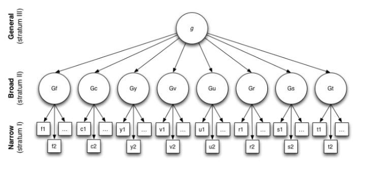 <ul><li><p><span style="background-color: transparent;">Developed by John Carroll</span></p></li><li><p><span style="background-color: transparent;">Three levels (strata) are defined as representing narrow, broad, and general cognitive ability</span></p></li><li><p><span style="background-color: transparent;">Top stratum level is general intelligence (g)</span></p></li><li><p><span style="background-color: transparent;">The second stratum is composed of eight abilities</span></p></li><li><p><span style="background-color: transparent;">Hierarchical Model</span></p></li></ul><p></p>