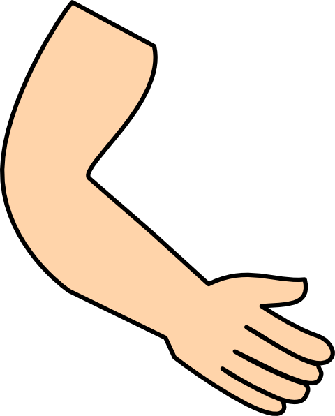 <p>arm</p>