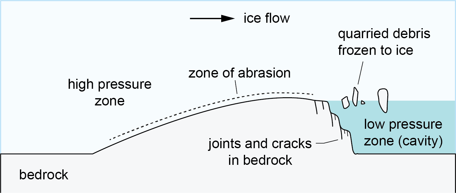 <p><strong>both alpine &amp; continental</strong><br>a sloped outcrop of bedrock that is smooth on the end that the ice flow came from (upstream), and rough on the end the ice flow left (downstream)</p><ul><li><p>upstream end: higher pressure caused abrasion which grinded the bedrock smooth + created striations</p></li><li><p>downstream end: lower pressure caused meltwater to freeze → freeze-thaw → plucking</p></li></ul><p>occurs bc glacier flows over a bedrock</p>