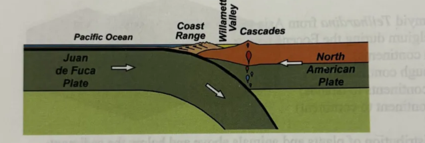 <p>this diagram represents </p><p>a. seafloor spreading boundary </p><p>b. transform plate boundary </p><p>c. divergent plate boundary </p><p>d. convergent plate boundary</p>