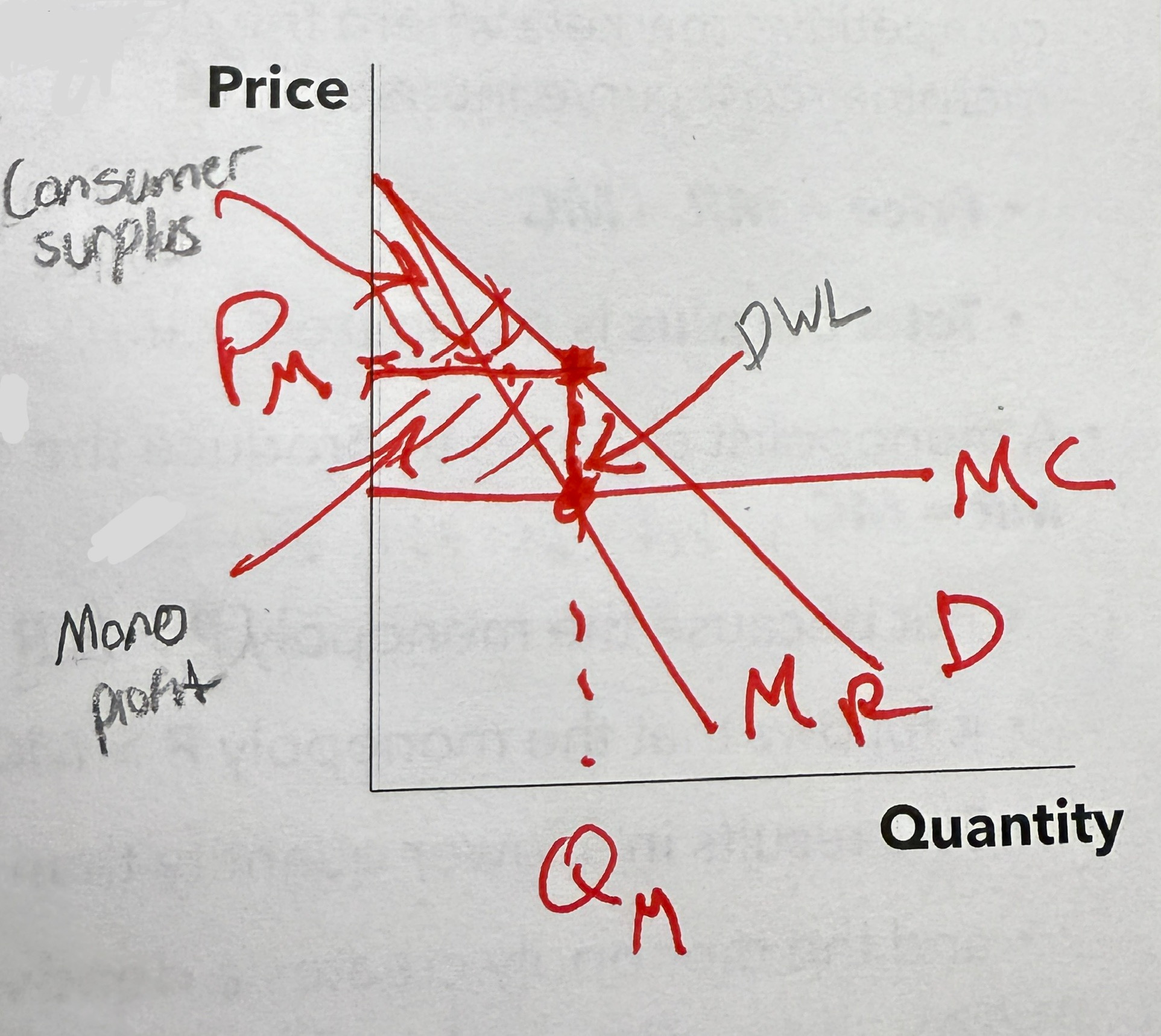 <p>Total surplus in a mono</p>