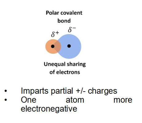 <p>polar (covalent bond)</p>