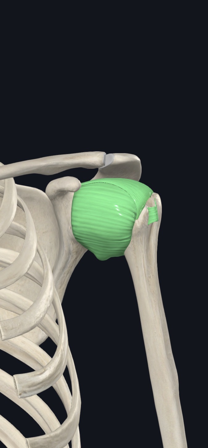 <p>what is this?</p>