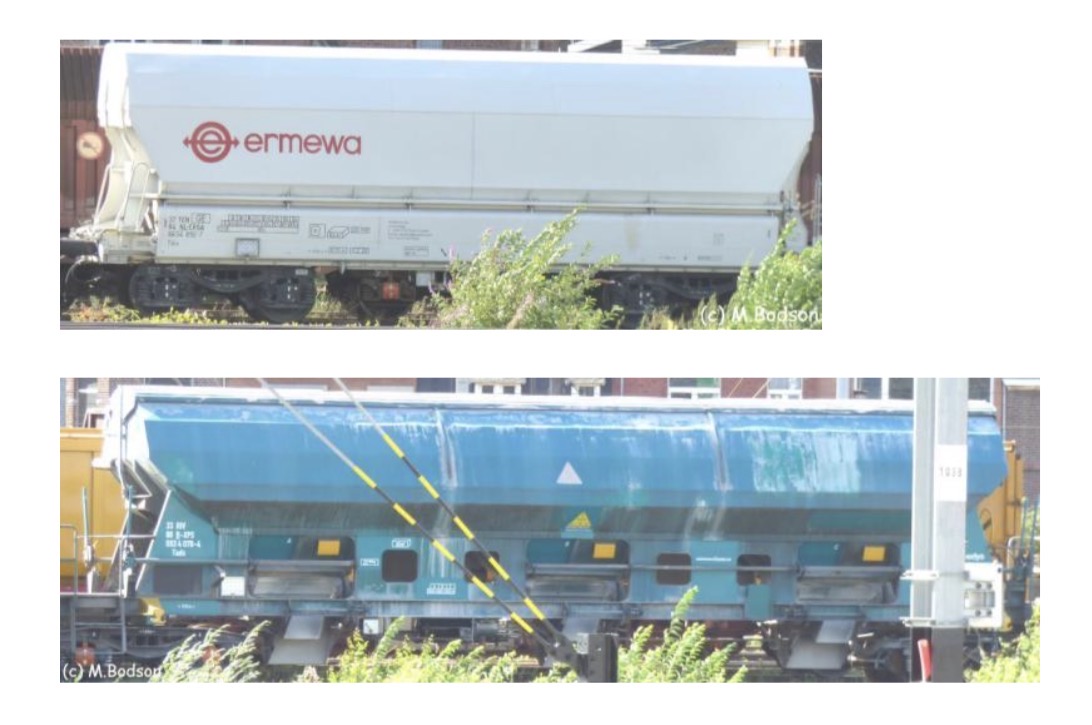 term image
