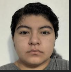 <p>Erika Gomez Santos</p>