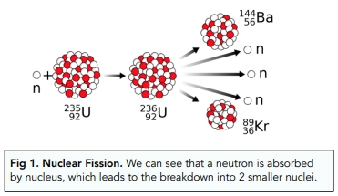 <ul><li><p>Neutron collides with the large, unstable nucleus (reactants)</p></li><li><p>The nucleus splits into two smaller nuclei (products)</p></li><li><p>Gamma rays are emitted during this process</p></li></ul><p></p>