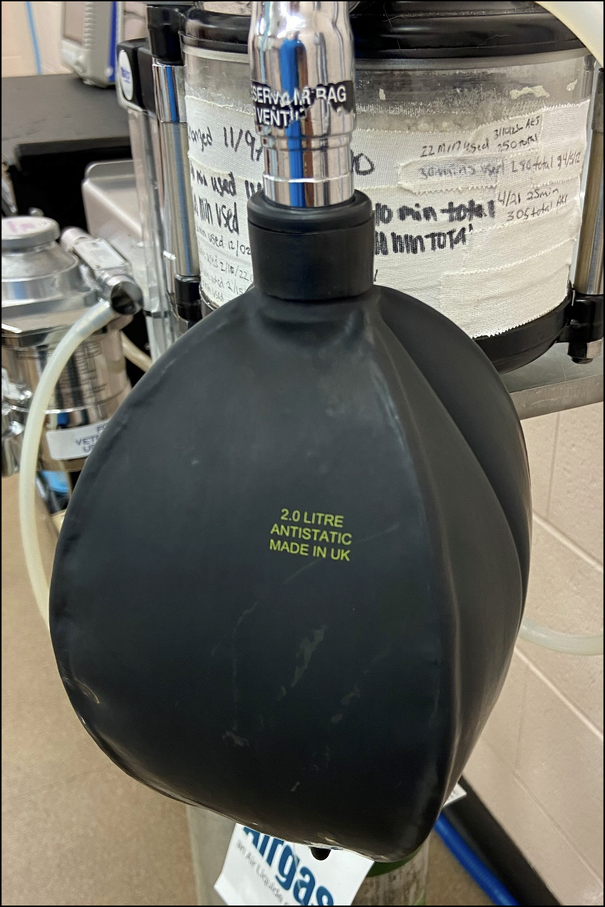 <p>is this normal for rebreathing bag</p>