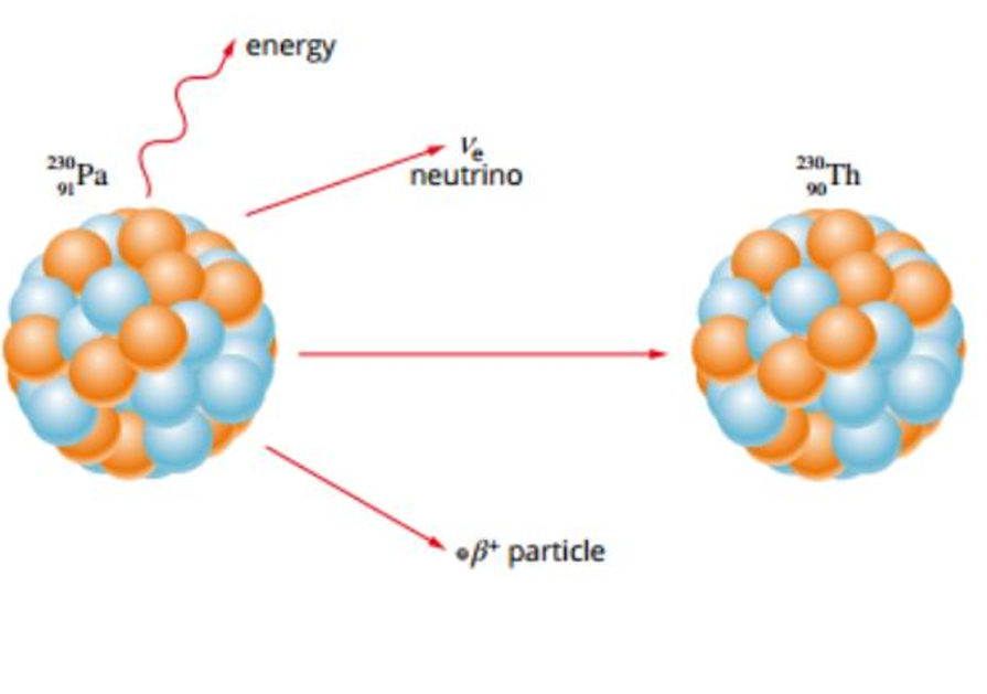 <ul><li><p>Occurs when the nucleus has too many protons</p></li><li><p>Therefore the Electrostatic Force overpowers the Strong Nuclear Force</p></li><li><p>The proton decays into a neutron to release excess EF and stabilise the nucleus </p></li><li><p>Due to this, the nucleus emits a positron (anti-electron) known as a Beta Positive Particle along with a neutrino</p></li></ul><p></p>