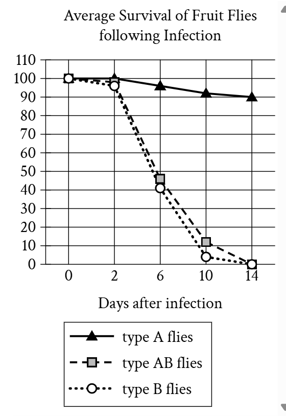 <p>In a study of the evolution of DptA and DptB—Diptericin genes encoding antimicrobial peptides that combat pathogens and foster beneficial microbes in fruit flies (Drosophila)—researchers assessed Drosophila melanogaster resistance to pathogenic infections by Providencia rettgeri and Acetobacter sicerae, bacteria common in the flies’ environments. Subjects included flies identified by mutations silencing DptA, DptB, or both DptA and DptB (termed types A, B, and AB, respectively). In conjunction with the observation that resistance to P. rettgeri correlates with DptA activity but is not significantly affected by DptB activity, data in the graph of survival rates post–A. sicerae infection suggest that ______blank</p><p>Which completion of the text is best supported by data in the graph?</p>