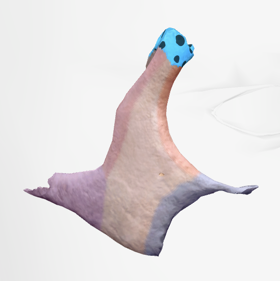 term image