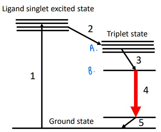 <p>It is possible to create lanthanide complexes where there is an intense absorption (usually based on the ligand) and the excitation of this can be transferred via isc to the lanthanide excited state.</p><ul><li><p>A MLCT occurs, usually with UV light (fully allowed, intense).</p></li><li><p>Isc occurs.</p></li><li><p>Excitation goes to an f-state on the metal, the efficiency of this transfer depends on how close the states A and B are.</p></li><li><p>Emission occurs.</p></li></ul><p></p>