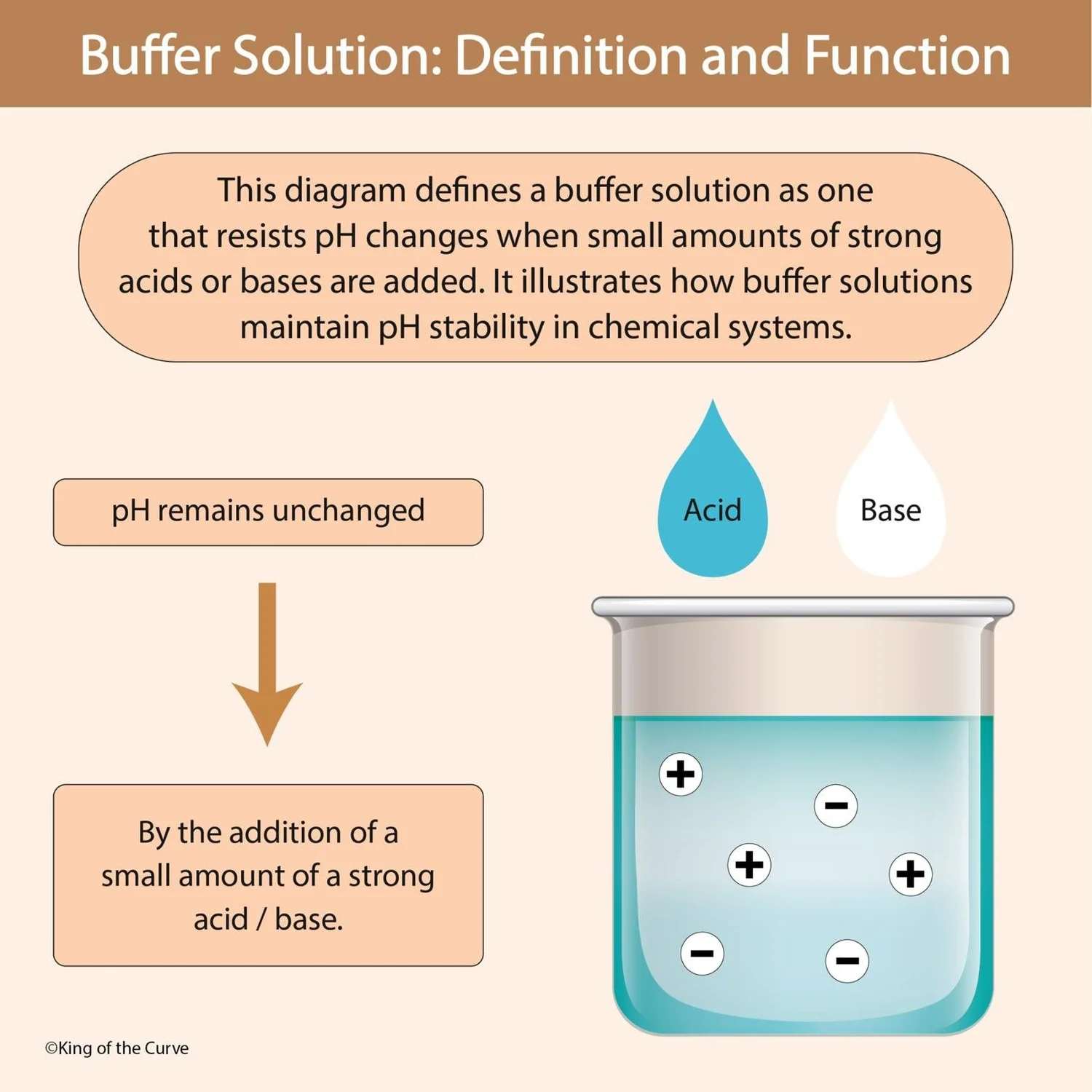 <p><span>Something that minimizes changes in pH by associating with (binding with) hydrogen ions when their concentration increases, and dissociating with (releasing) hydrogen ions when their concentration decreases.</span></p>