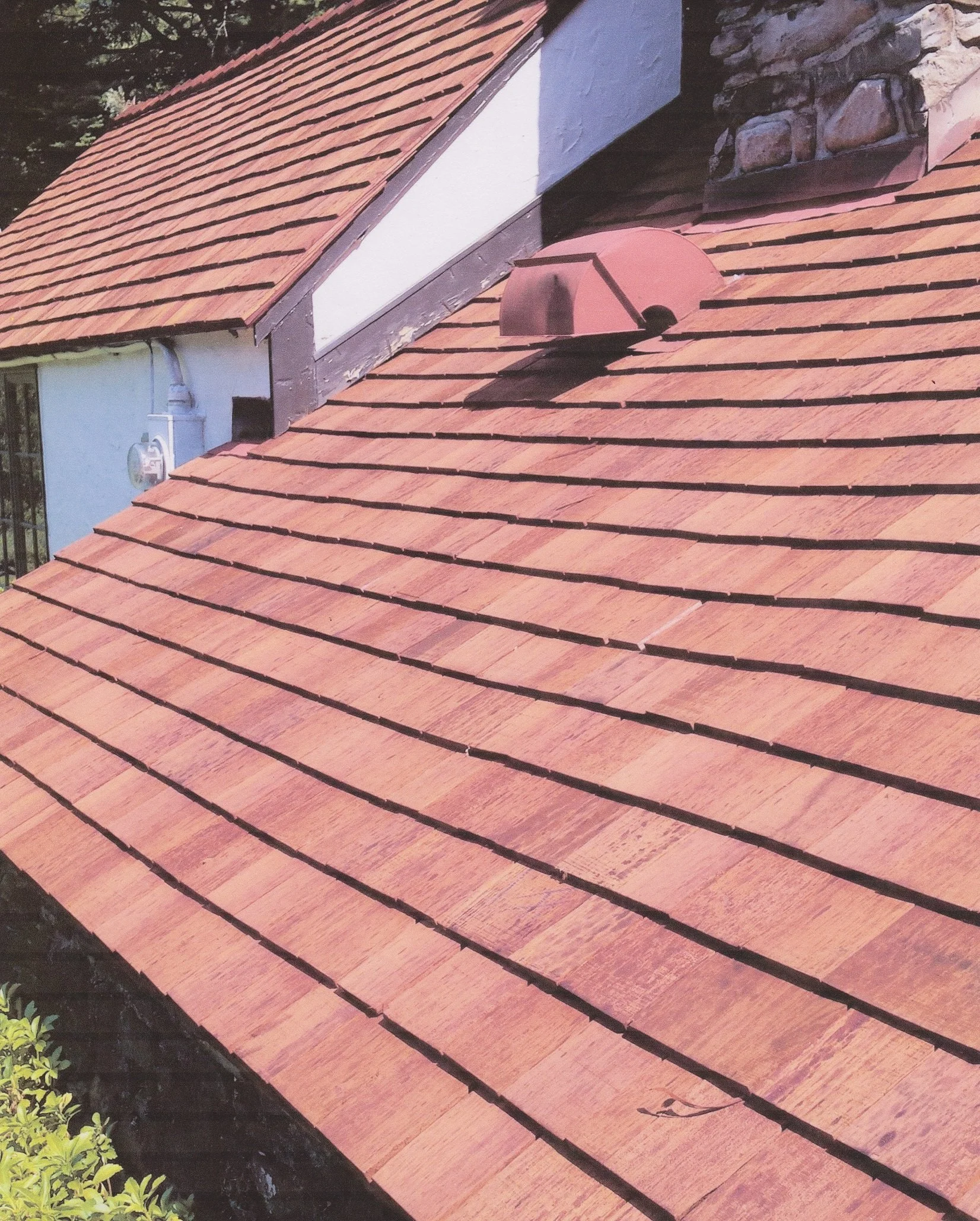 <p>shingles (n)</p>