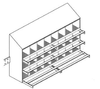 <p>type of nest</p>