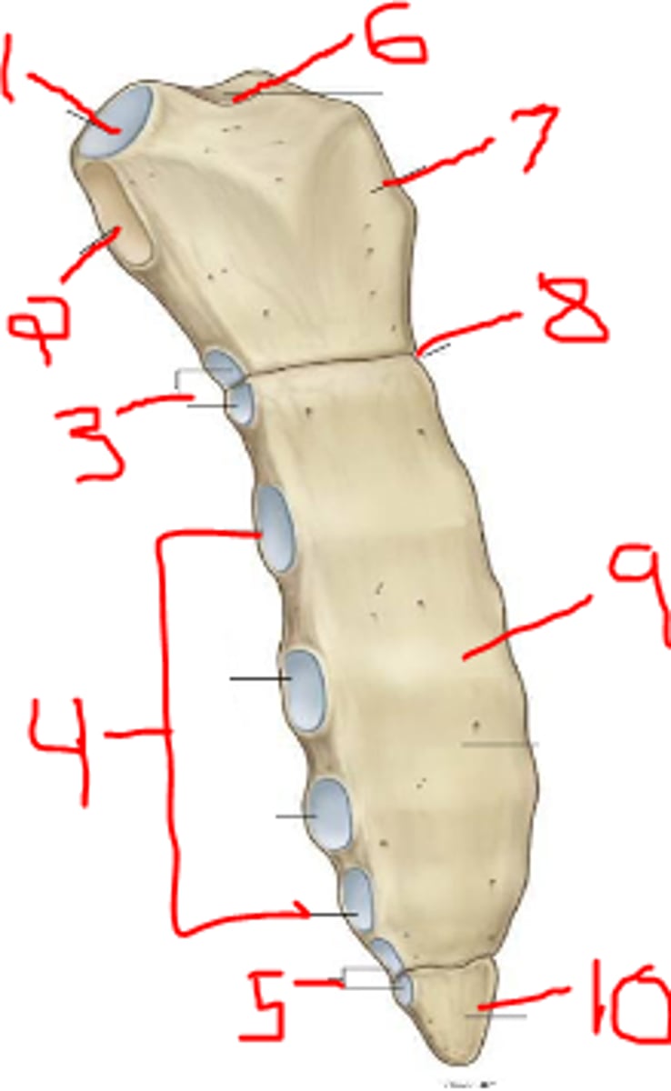 <p>3</p>