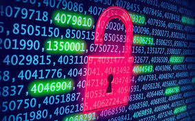 <p><strong>Sham</strong></p>