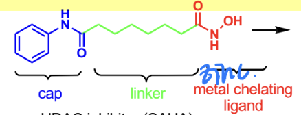 <p>HDAC inhibitor (grabs onto zinc metal on HDAC, preventing de-alkylation)</p>