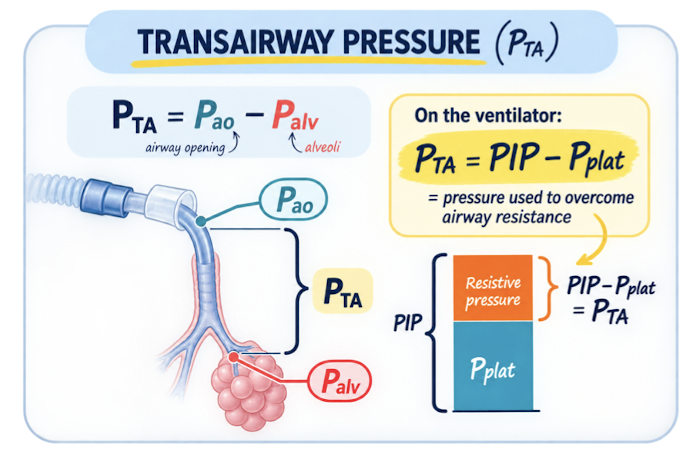 <ul><li><p>Pressure difference between</p><ul><li><p><mark data-color="red" style="background-color: red; color: inherit;">airway opening</mark></p></li><li><p>the <mark data-color="red" style="background-color: red; color: inherit;">alveolus</mark></p></li></ul></li><li><p>The pressure required to </p><ul><li><p>overcome airway resistance</p></li><li><p>move air through the airways</p></li></ul></li></ul><p></p>