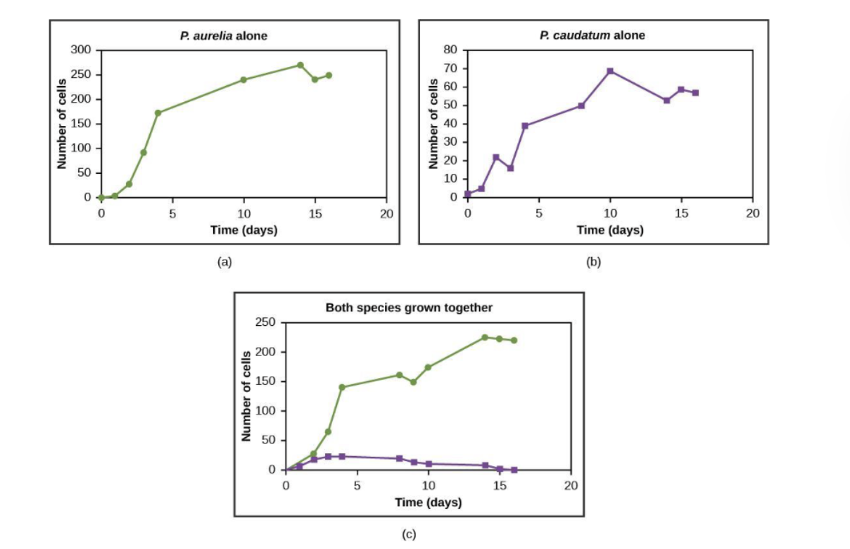 <p>If niches overlap completely, one species may be outcompeted to extinction</p>