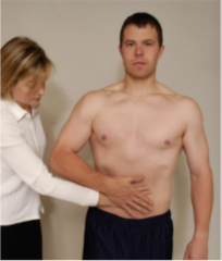 <p>Patient presses hand into abdomen while bringing elbow forward; checks subscapularis muscle.</p>