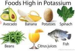 <p>• Avocado</p><p>• Bananas</p><p>• Cantaloupe</p><p>• Carrots</p><p>• Fish</p><p>• Mushrooms</p><p>• Oranges</p><p>• Potatoes</p><p>• Pork, Beef, Veal </p><p>• Raisins</p><p>• Spinach</p><p>• Strawberries</p><p>• Tomatoes</p>