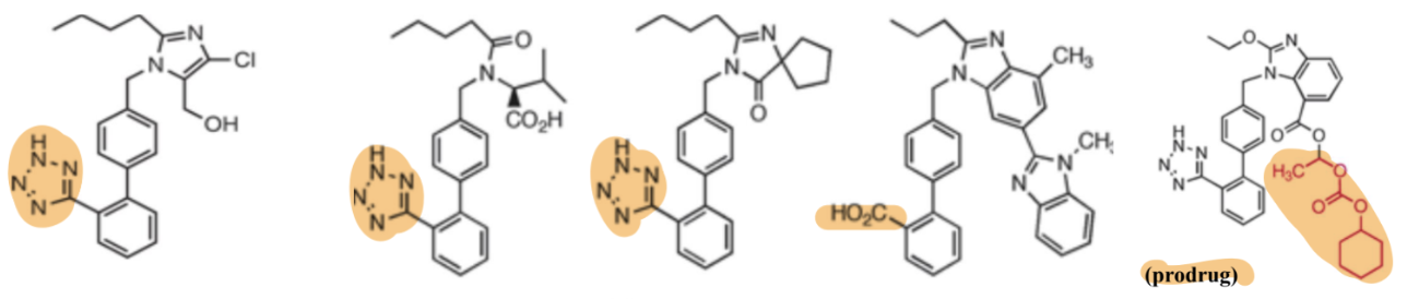 <p>Name these structures from left to right.</p>