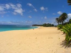 <p>ein Strand</p>