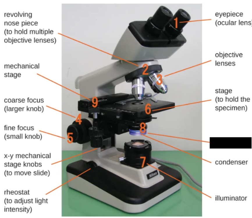 <p><span style="background-color: transparent;">Can adjust the light striking the specimen by opening and closing</span></p>