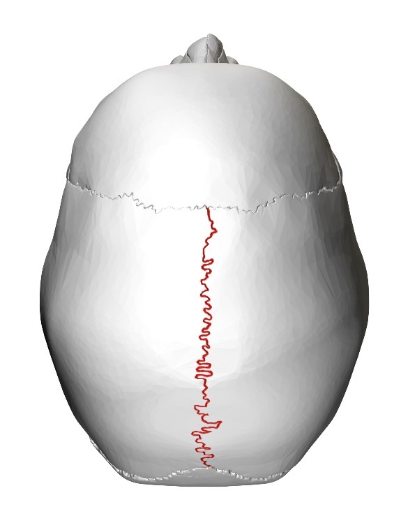 <p>what is this?</p>