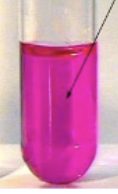 <p>test name and result</p>